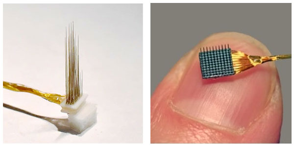 Floating Microelectrode Array (left) and Utah Array (right) by Blackrock Microsystems record activity from M1 and S1.