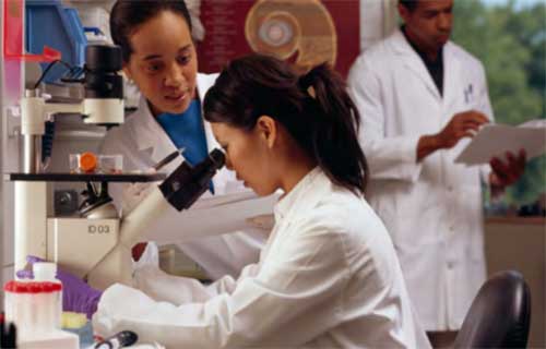 Researchers at microscope