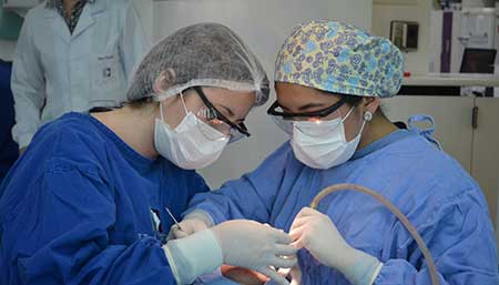 Two dentists in clinical setting
